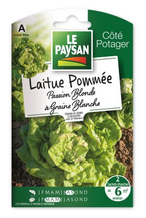 LAITUE - POMMEE PASSION BLONDE A GRAINE BLANCHE