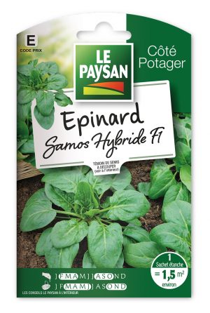 EPINARD  - SAMOS HYBRIDE F1