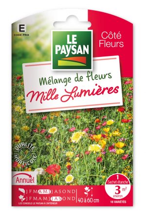 MELANGE DE FLEURS - MILLE LUMIERES