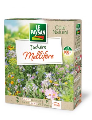 MELANGE DE FLEURS - JACHERE MELLIFERE