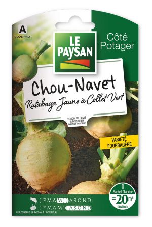 CHOU-NAVET - RUTABAGA JAUNE A COLLET VERT