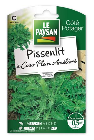 PISSENLIT - A COEUR PLEIN AMELIORE
