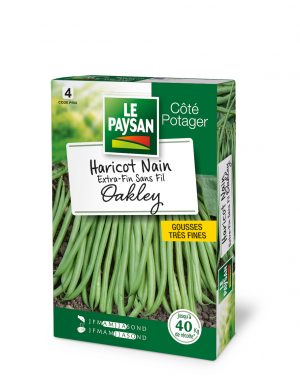 HARICOT NAIN - EXTRA-FIN SANS-FIL OAKLEY
