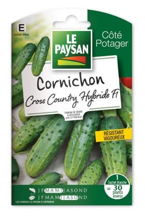 CORNICHON - CROSS COUNTRY HYBRIDE F1